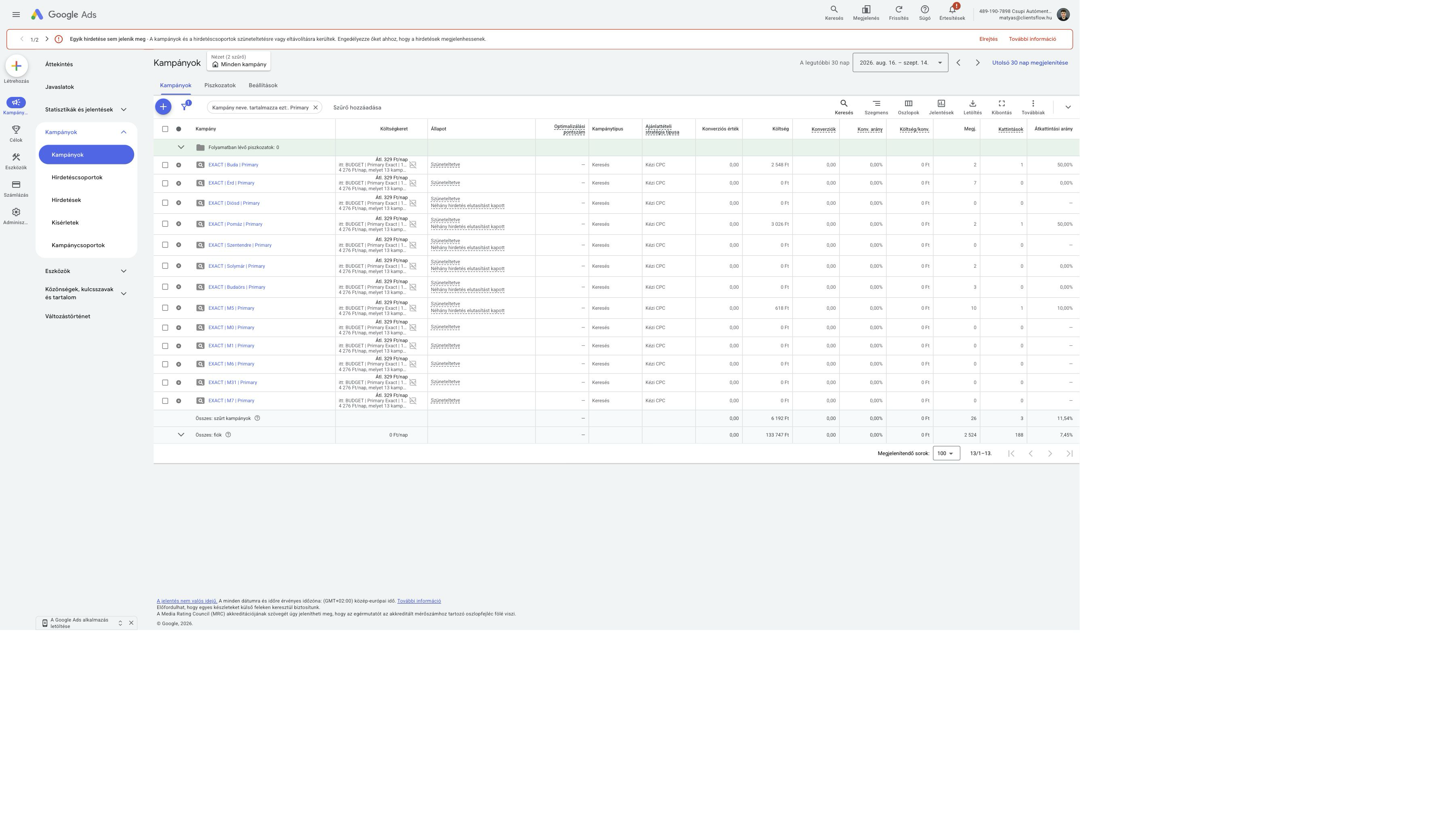 Google Ads Primary campaign table