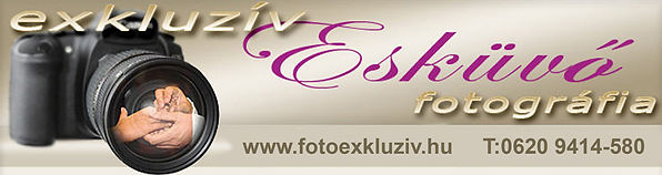 Exkluzív wedding photography partner banner with camera graphic.