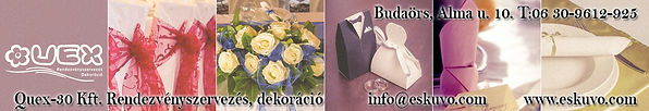 Quex event organization and decoration banner with event photos.