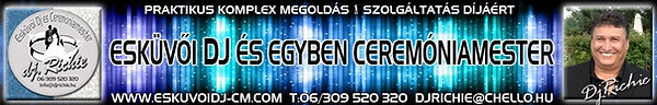 Blue banner promoting combined wedding DJ and ceremony-master service.