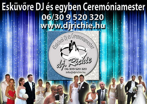 Wedding DJ and ceremony-master collage with DJ Richie logo and wedding guests.