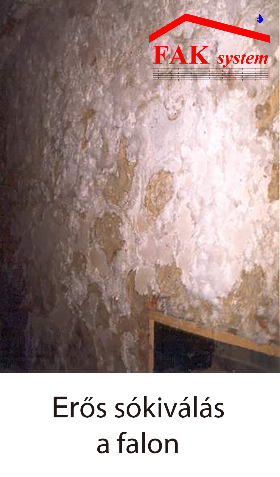 Annotated close-up of severe salt efflorescence and peeling on a wall.