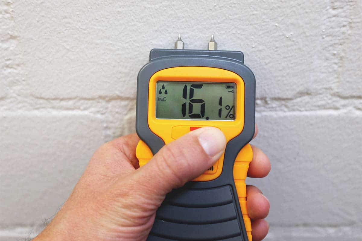 Handheld moisture meter reading 16.1 percent against a plastered wall.