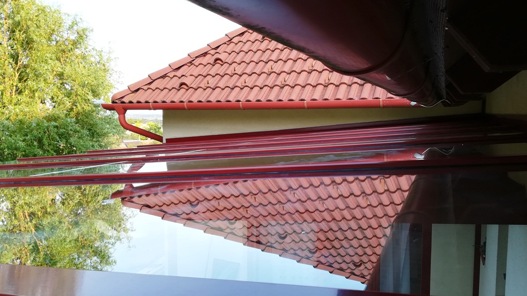Üvegtető üvegtáblákkal, növényzet és égbolt tükröződésével
