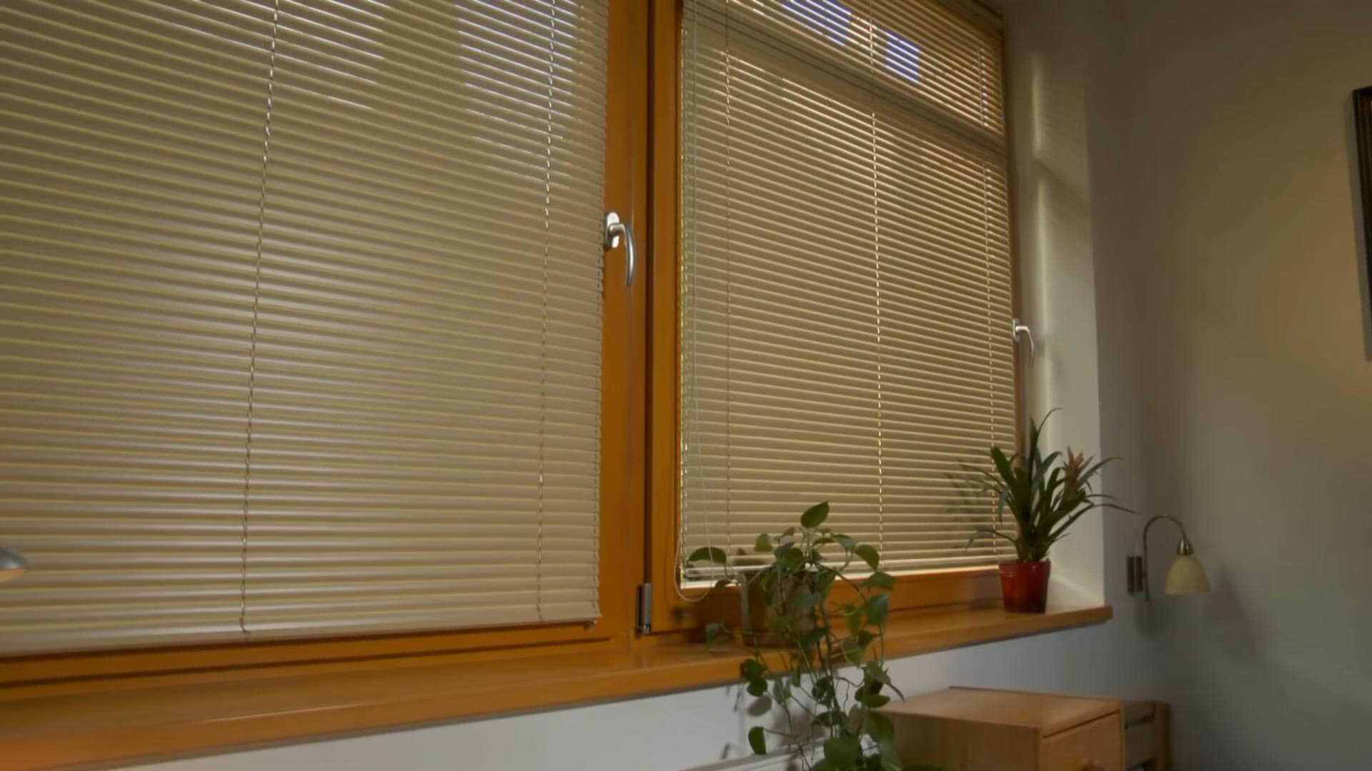 Two adjacent windows with honey-colored wooden frames are covered by closely spaced horizontal beige slats. The slats are tilted so narrow strips of daylight and partial exterior greenery show through. Small potted plants sit along the sill, and a pale wall with a wall lamp and low cabinet is visible at right. The image is a close interior view focused on the blinds.