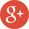 Google+ social media icon.