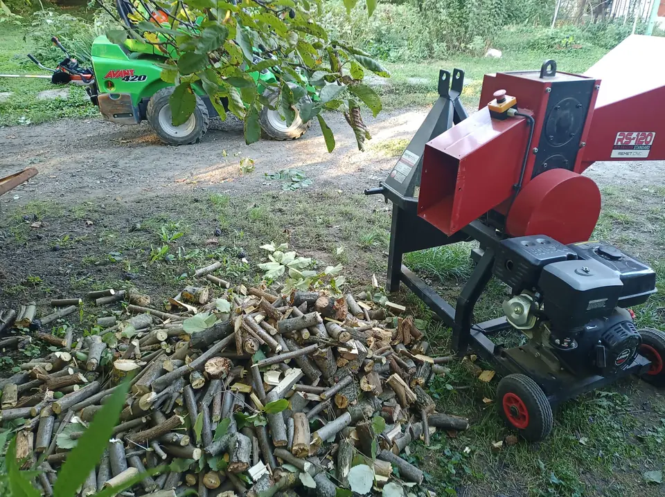 Ledarabolt ágak