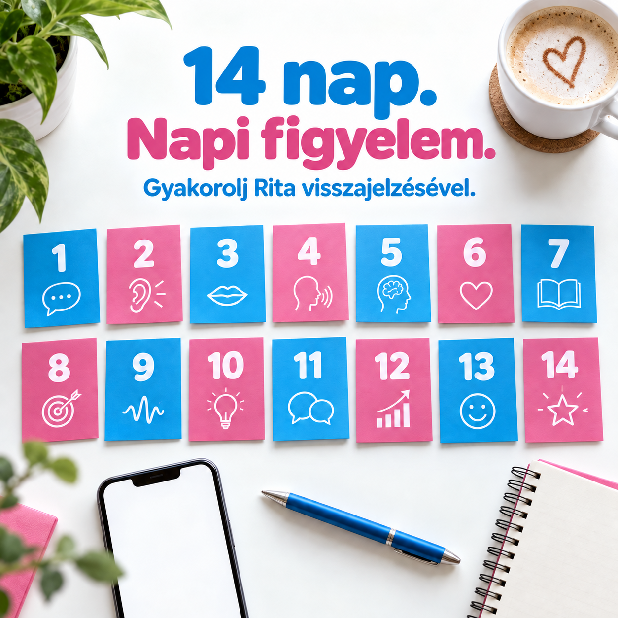 N07 eredeti kreatív