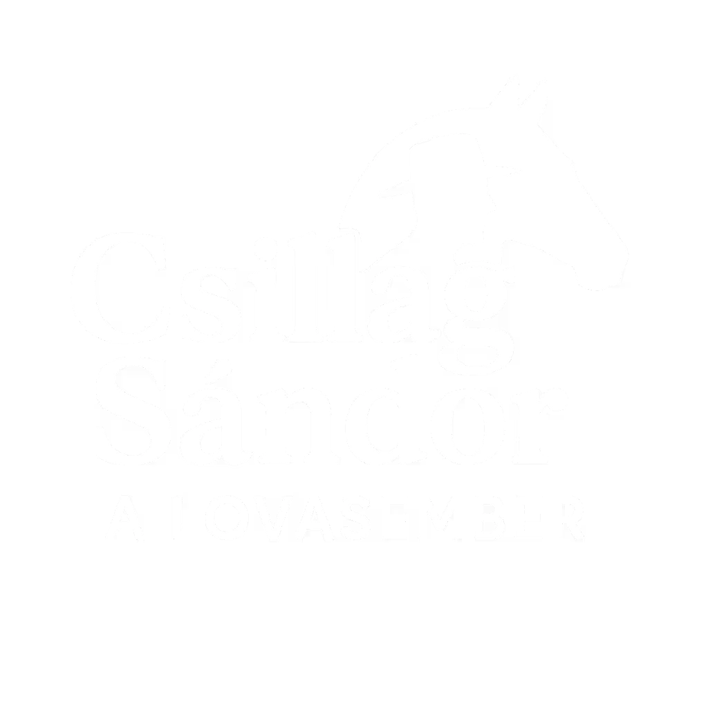 Lovasember