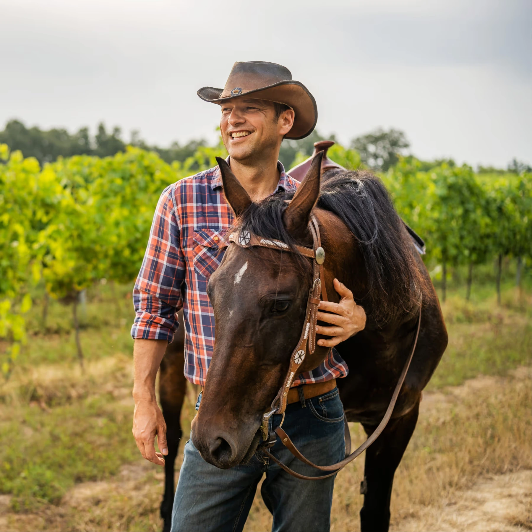 Csillag Sándor