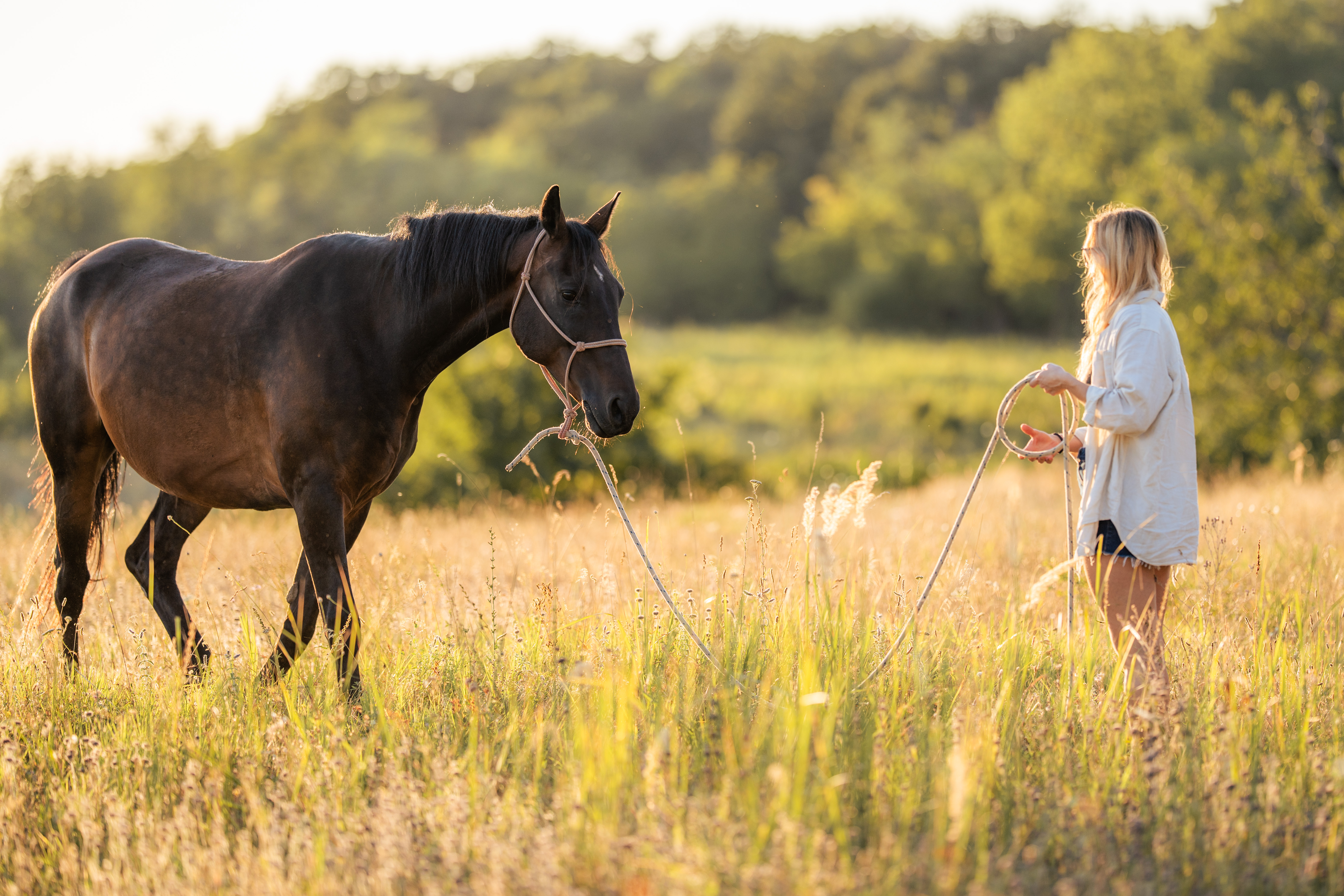 A dark horse in a pale rope halter fills the left and center of the frame in side view. A blonde person wearing sunglasses and a light shirt stands at the right edge, holding a loop of the lead line. The rope hangs in a loose curve between the person and horse. The background is a softly blurred green field with bright sunlit grass.