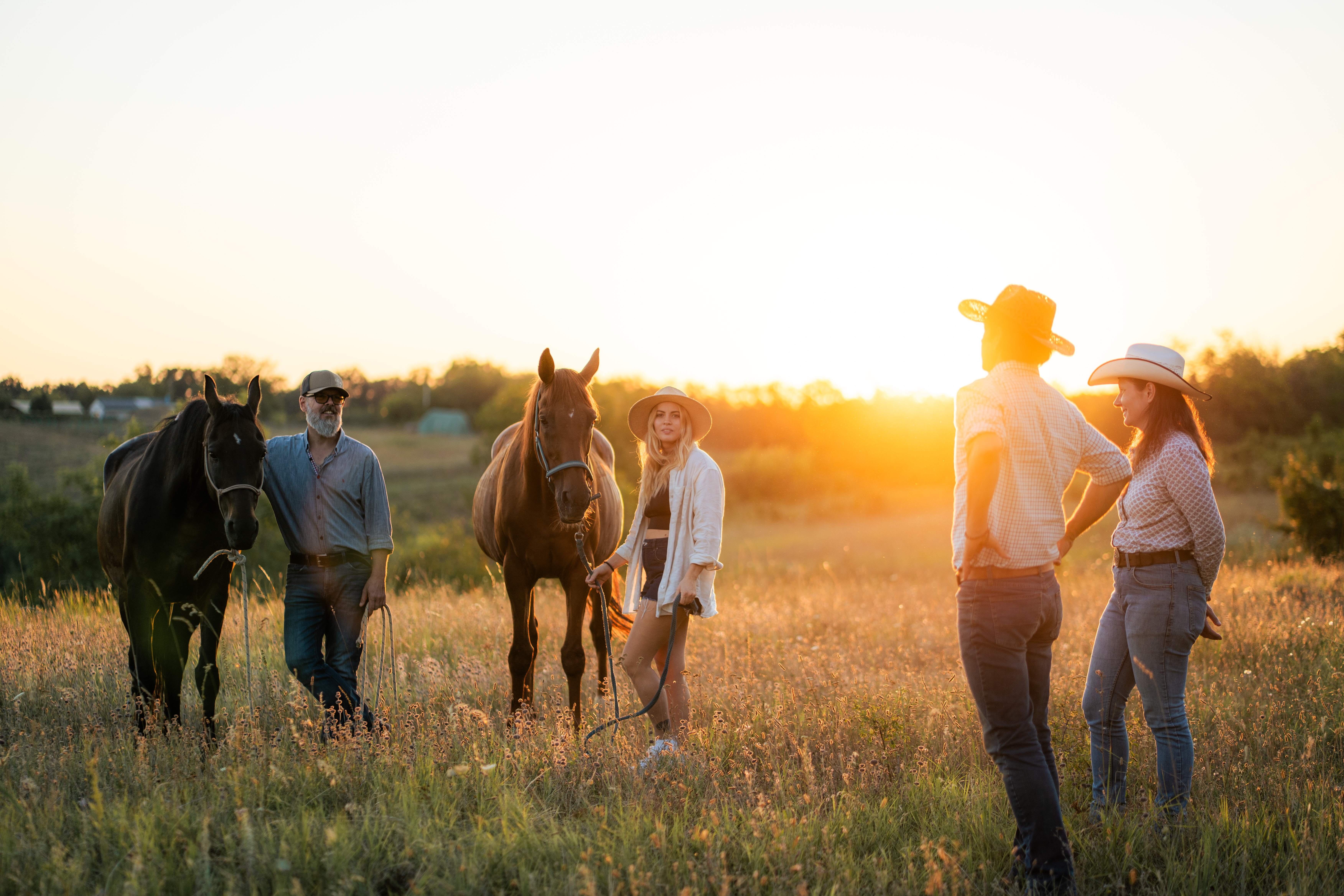 Several adults stand with two horses in a field at sunset. One dark horse and a person are at left, a chestnut horse and two people near center, and two more figures stand at right. The group forms a low horizontal band beneath a very bright sky, with sunlit grass and a dark tree line across the background. The image is strongly backlit in orange and gold; no legible text is visible.