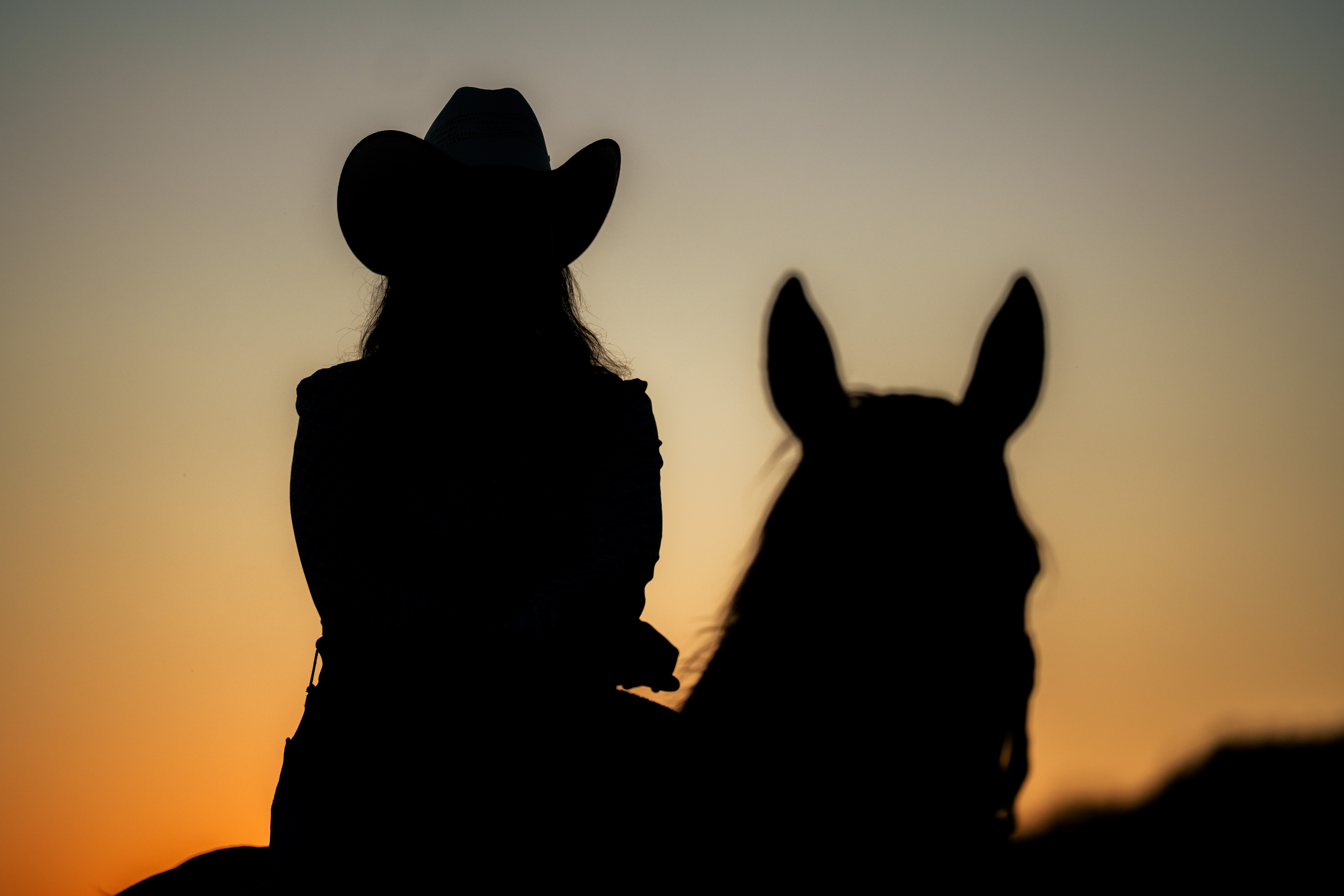 A close rear view shows a person in a wide-brimmed hat, with the dark outline of their shoulders filling the center-left. A horse’s upright ears and head form a large, softly focused silhouette in the right foreground. The tight crop places both figures against an otherwise open pale amber sky. No text is visible.