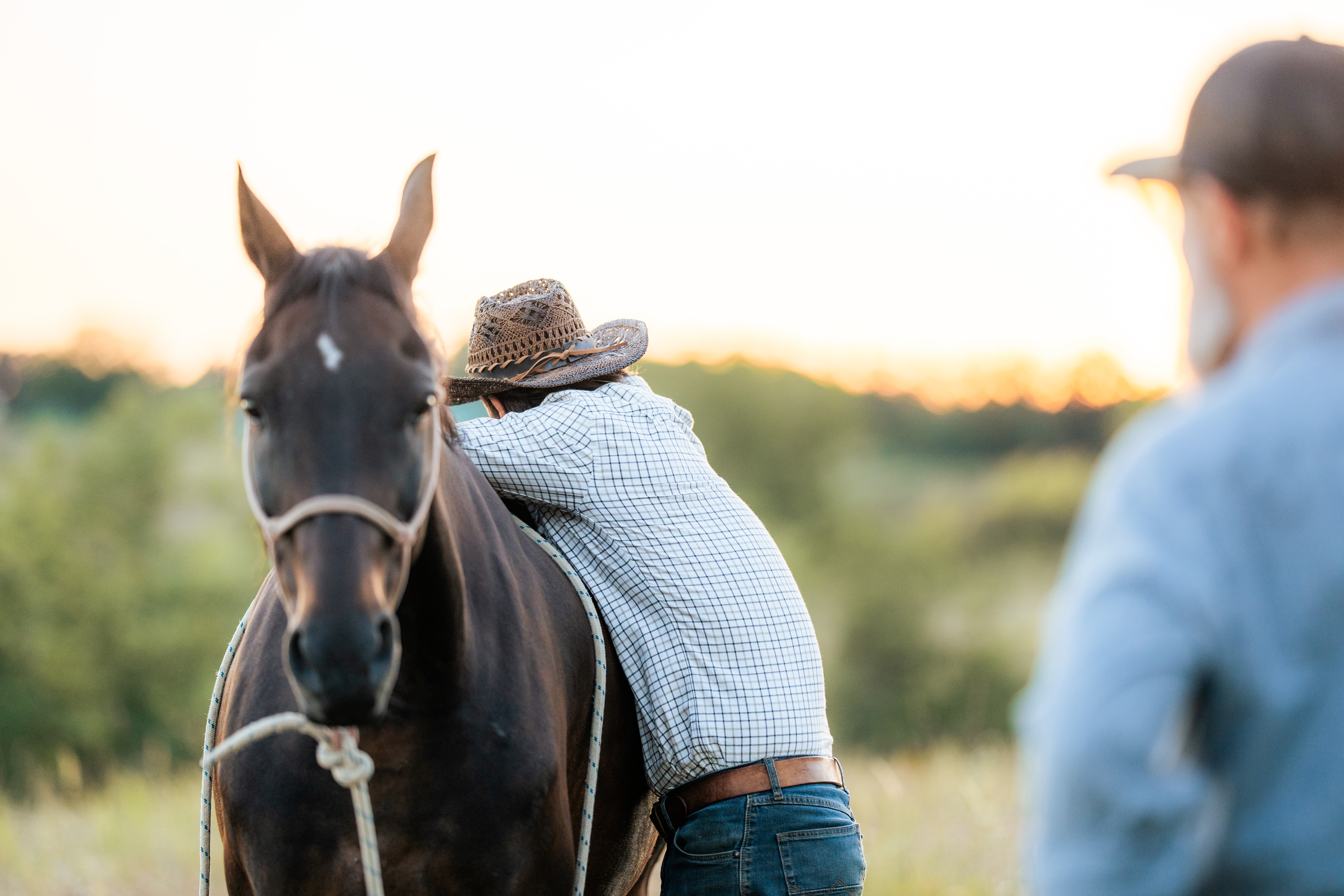 A person in a woven brimmed hat and light checked shirt is seen from behind, leaning forward beside a dark horse. The horse’s softly focused head fills the left foreground, with its ears and a small light marking on the forehead visible. The person’s hat and checked back occupy the right-center of the frame. Bright backlight and a blurred green-and-gold horizon fill the background; no text is visible.