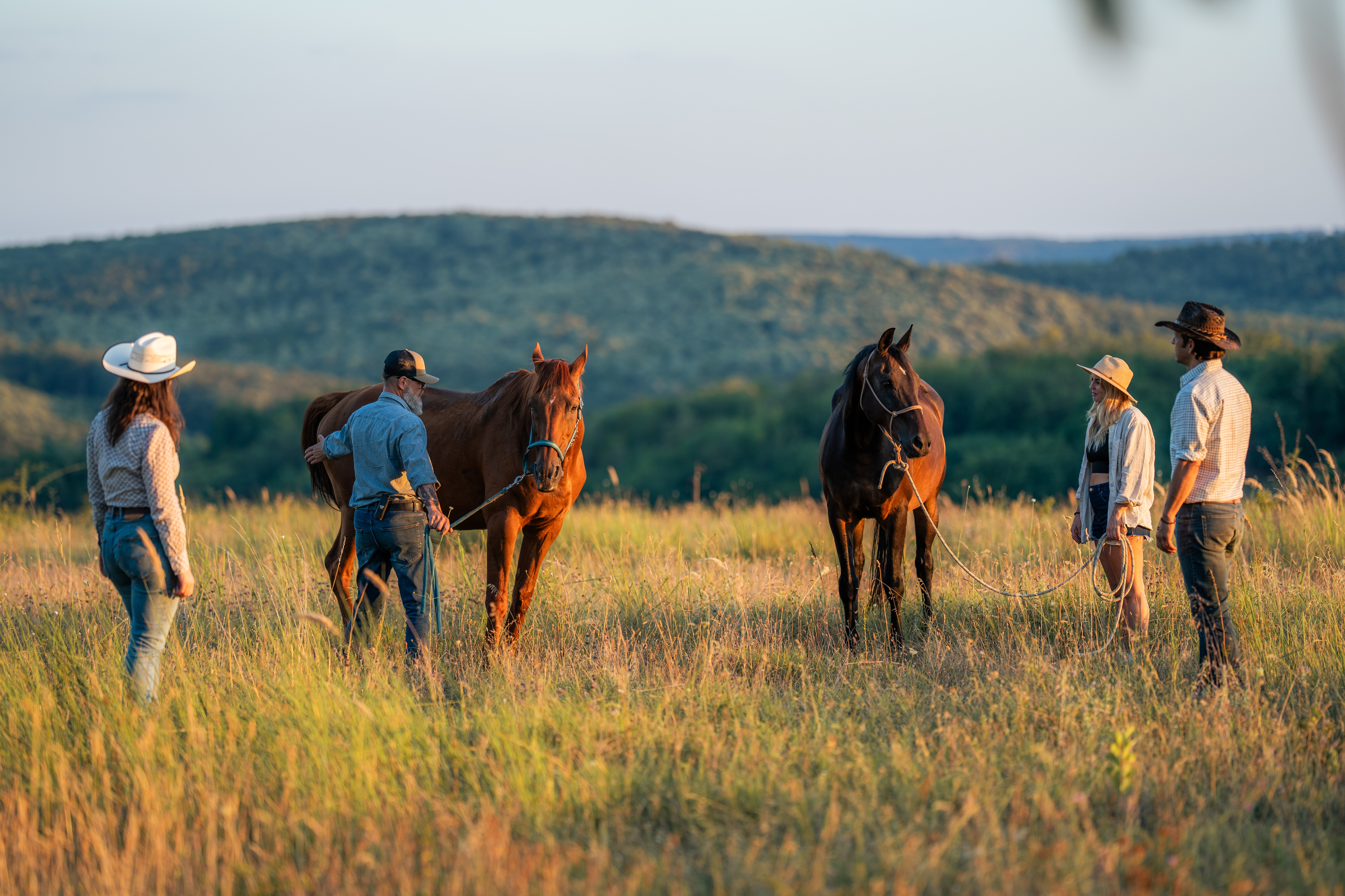 Two adults stand with a dark horse in tall grass. One person in a checkered shirt and dark hat stands near the horse, while another in a light hat and loose white shirt holds a lead line farther left. The horse faces left and occupies the right side of the wide frame, with a distant ridge and pale sky behind them. Golden sunlight brightens the grasses and edges of the figures; no legible text is visible.