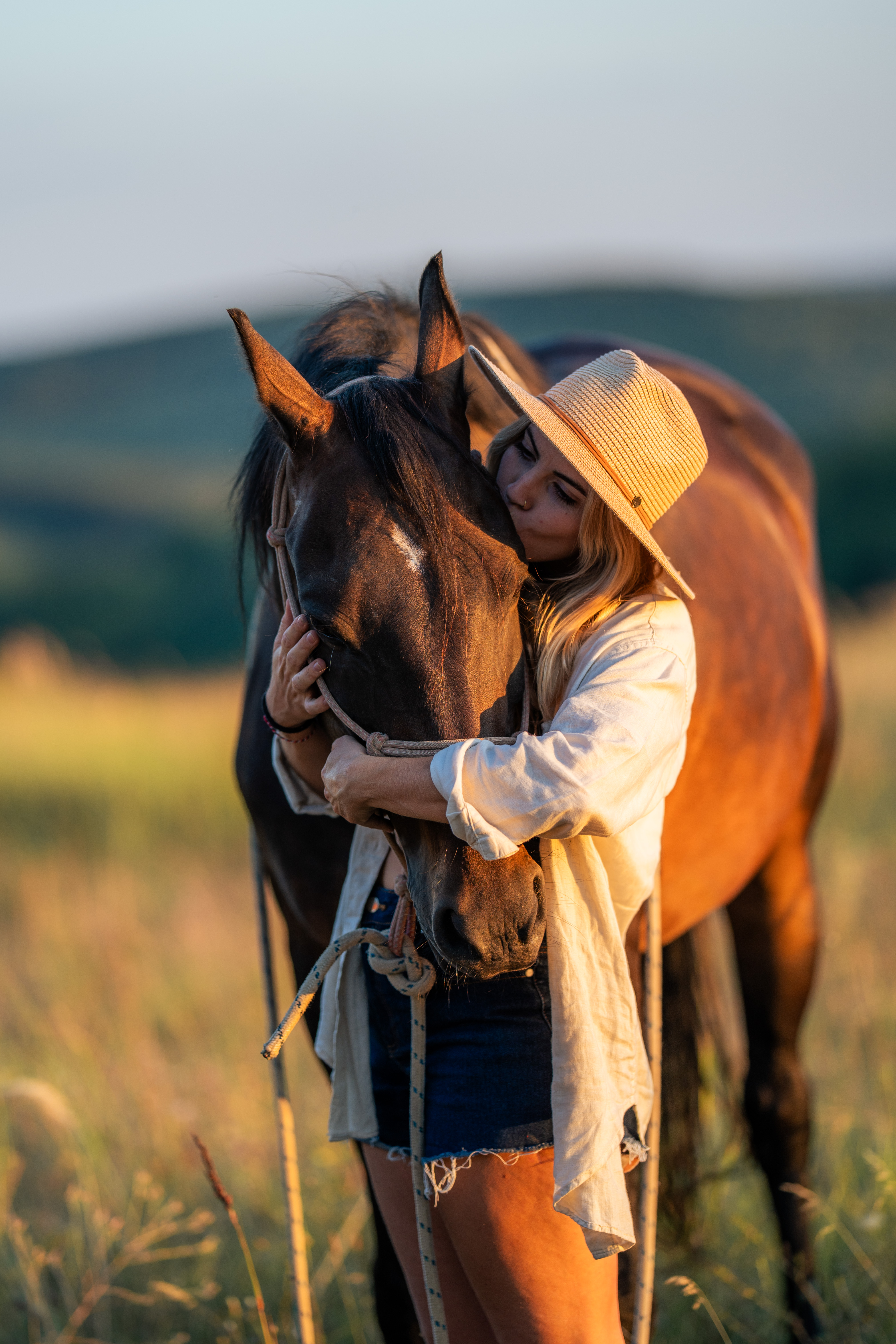 A person wearing a woven wide-brimmed hat and light shirt holds a dark horse’s head close against their shoulder. The horse’s face and ears dominate the left-center foreground, while the person’s hat and arms frame it from the right. A rope halter crosses the horse’s muzzle, and the background is softly blurred in green and amber tones. Warm side light catches the hat, shirt, and horse’s face; no legible text is visible.