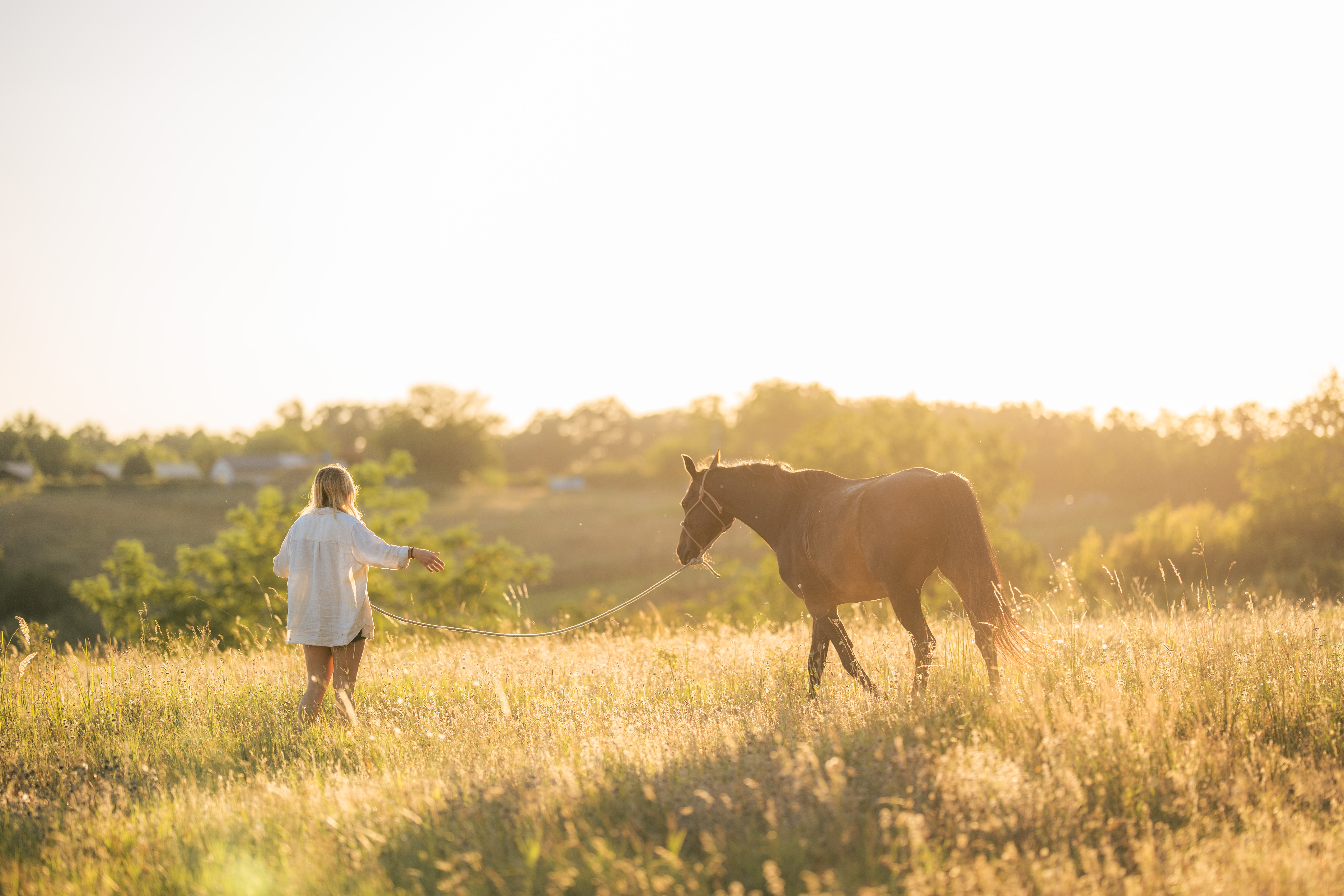 A person in a pale shirt stands in tall grass to the left of a dark horse shown in profile. Their bodies face toward one another, and a pale lead line curves across the foreground. A distant tree line and low landscape sit below the bright open sky. Golden backlight gives the grass and horse's outline a warm edge.