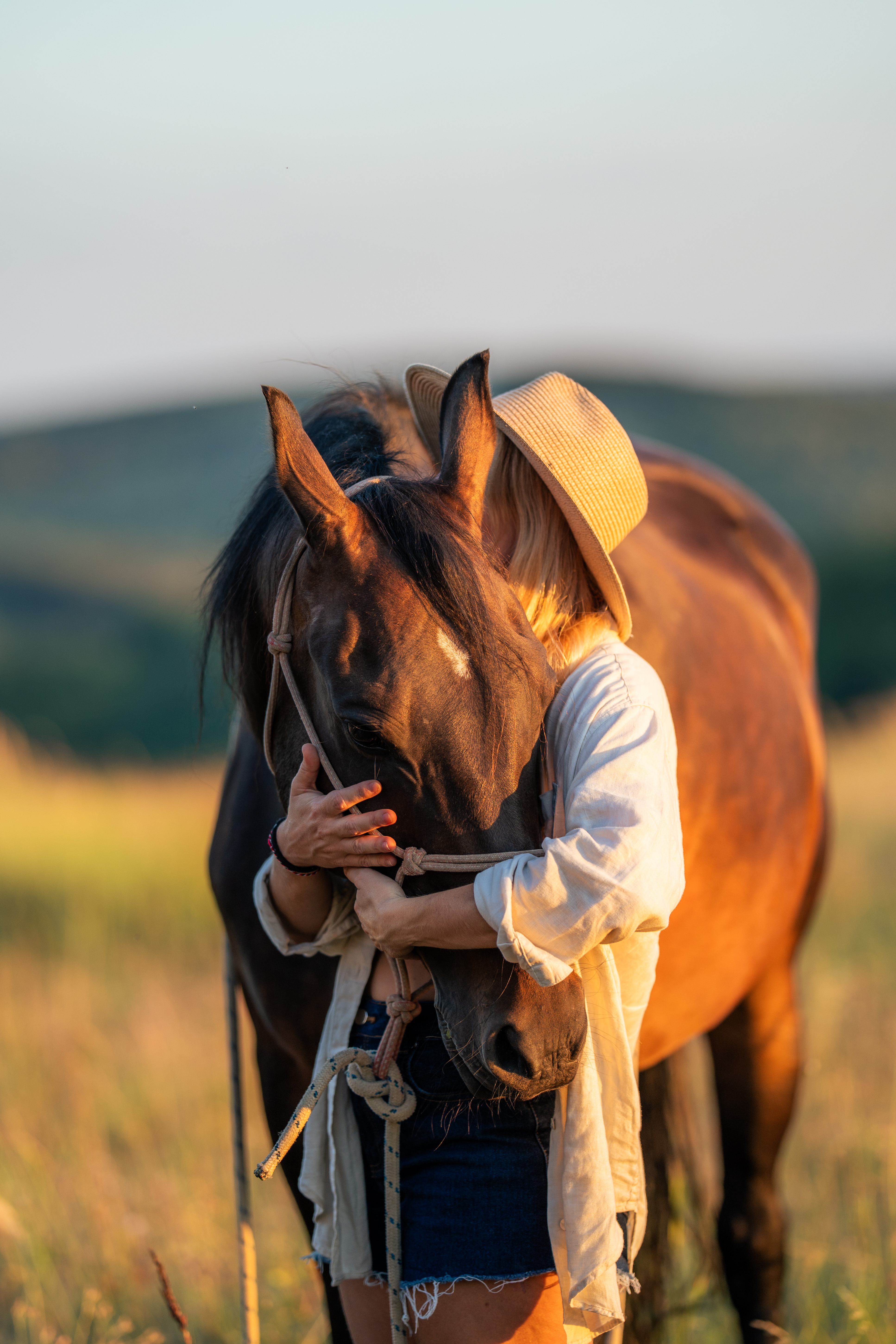 A person in a light woven brimmed hat and pale shirt wraps both arms around a dark horse’s head from the right side. The horse’s ears and face dominate the foreground, with a rope halter crossing the muzzle and cheek. Strong amber sunlight falls across the horse and person’s sleeves, while the left background is softly blurred in green and yellow. This vertical close-up contains no legible text.
