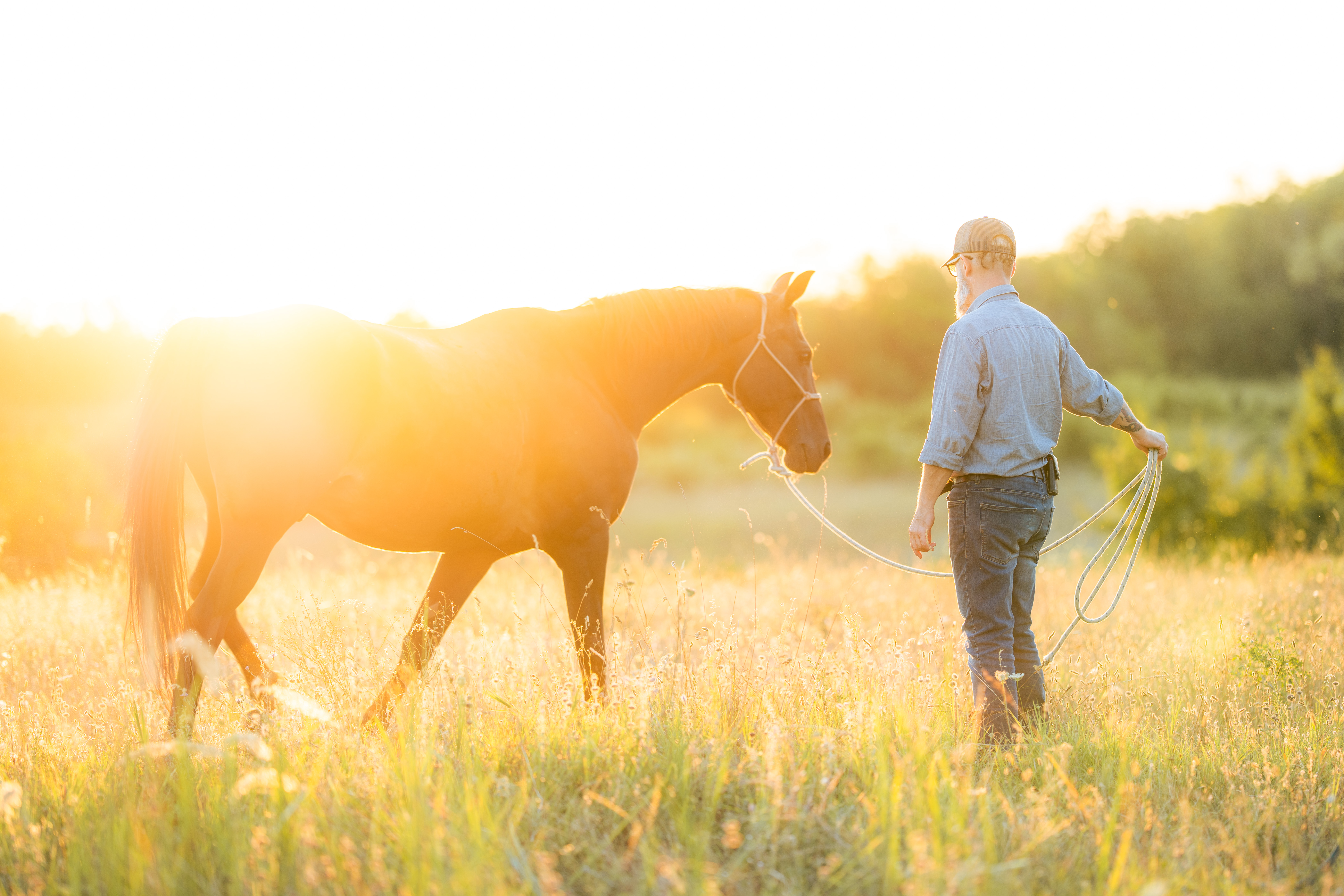 A person in a light blue shirt and jeans walks beside a dark horse in a grassy field, viewed from behind and slightly to the side. A lead rope extends from the horse’s halter to the person’s hands, with extra loops hanging down. Strong low sunlight enters from the left, bathing the scene in yellow-orange light and leaving the figures partly silhouetted. The pair occupy the right side of the landscape frame, with open grass and bright sky to the left; no legible text appears.