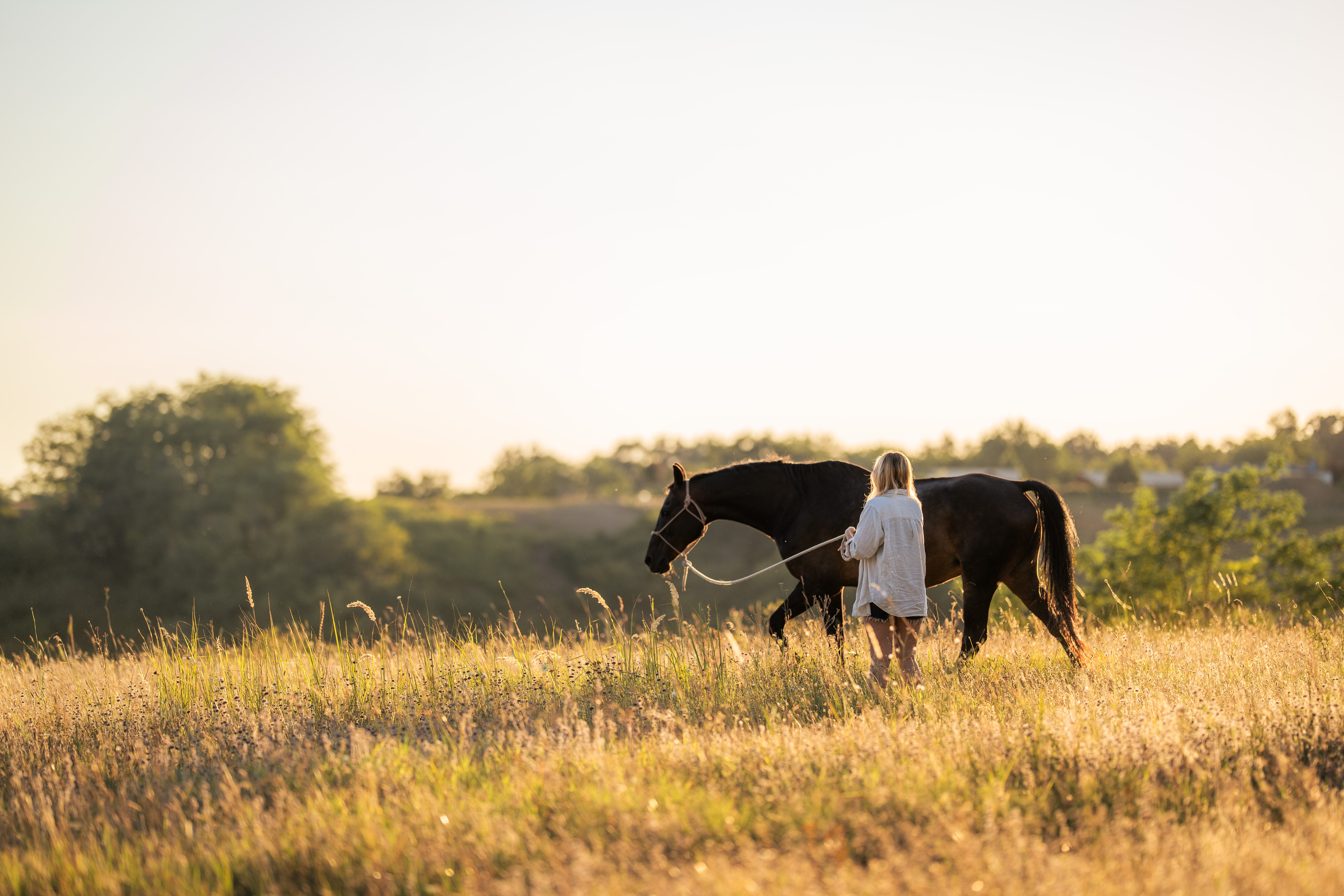 A person in a light shirt stands with their back to the camera in a golden meadow, facing a dark horse on the right. One arm extends toward the horse, and a pale line hangs from the horse's rope halter. The low tree line and tall grass sit beneath a large bright sky, with warm sunlight behind the subjects. No text is visible.
