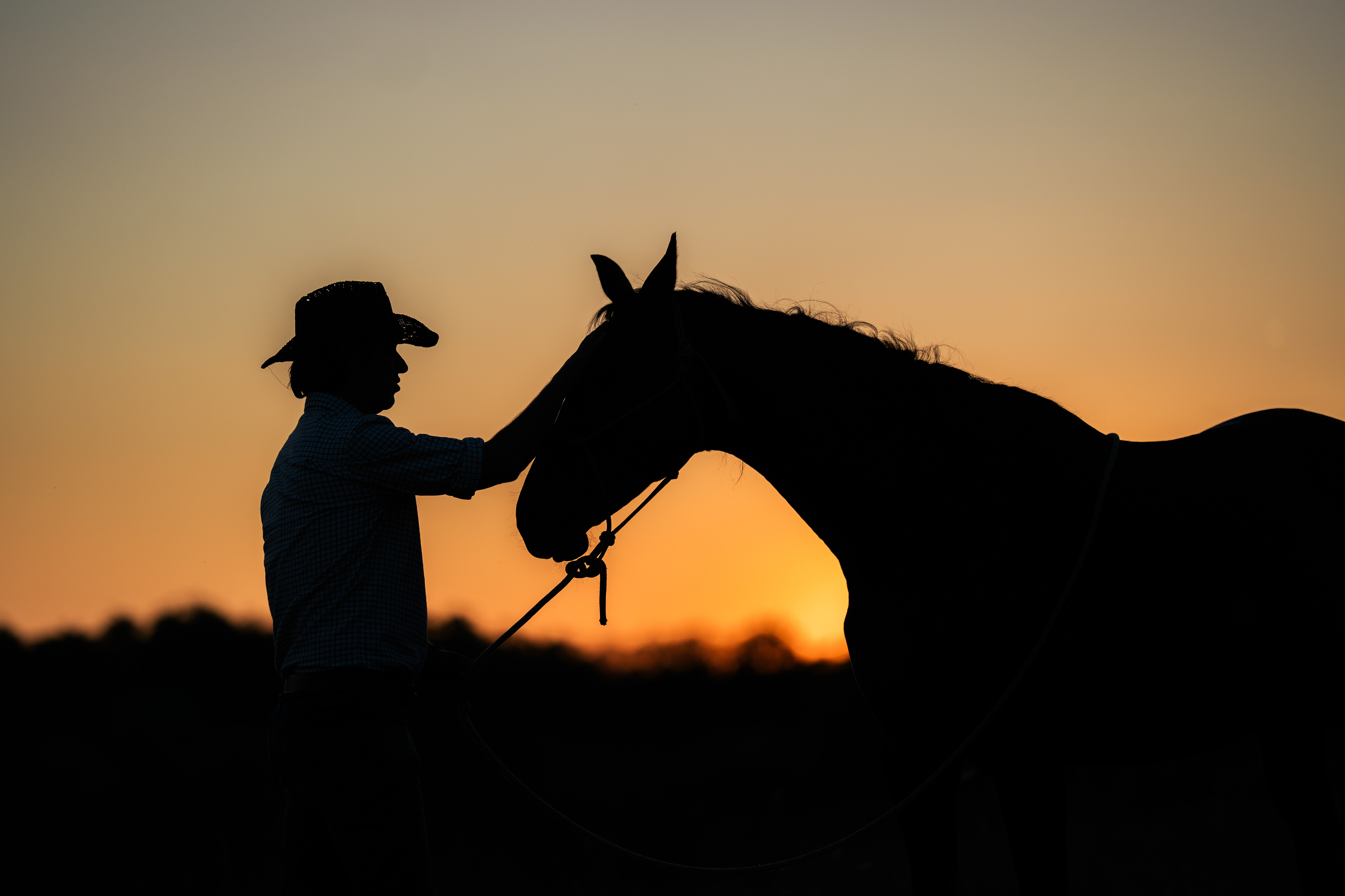 A hat-wearing person and a horse appear as dark silhouettes at close range, with the person’s arm extended toward the horse’s head. The horse’s head and neck form a side profile against an orange evening sky. The figures sit low in the frame beneath a broad field of open sky, with a dark horizon along the bottom. No text is visible.