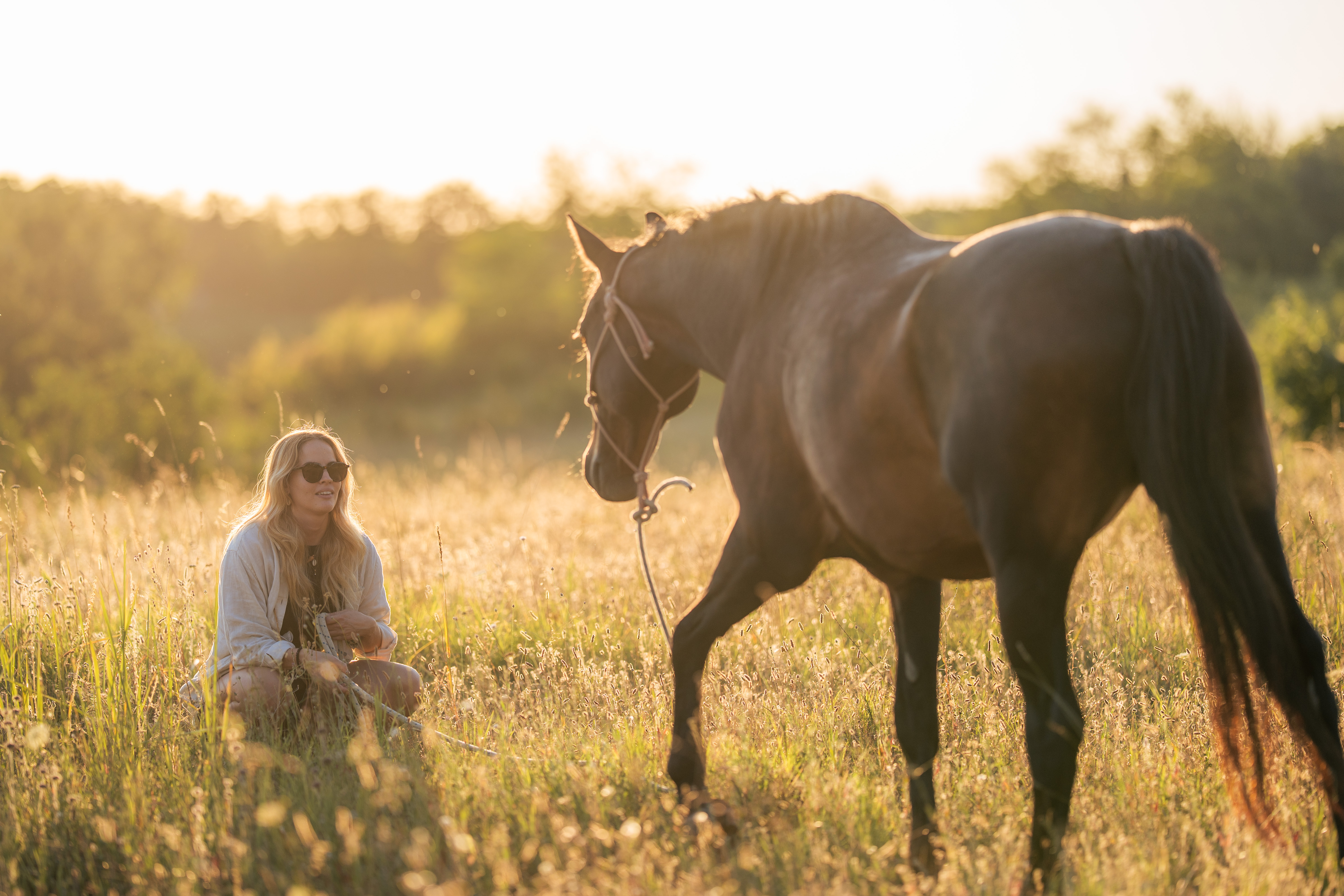 A blonde person in sunglasses and a pale top sits low in a sunlit meadow at the left of the frame. A dark horse fills much of the right side, its head lowered toward the person and a rope halter visible. Backlight brightens the tall grass and the horse's outline, with blurred trees beyond. No text is visible.