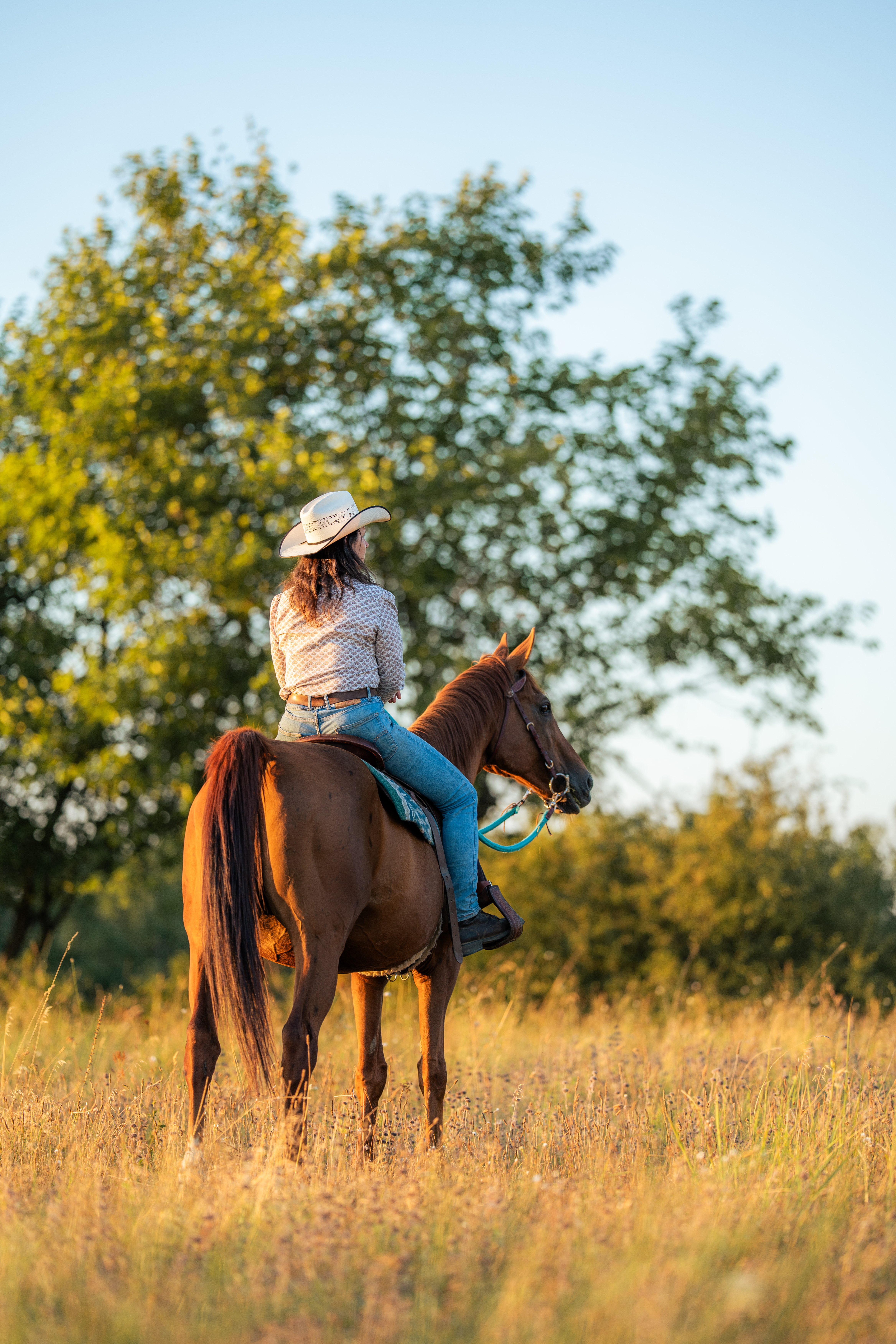 A rider in a white broad-brimmed hat, patterned shirt, and jeans sits on a chestnut horse, seen from behind and slightly to the side. The horse wears a saddle and faces right. The rider and horse fill the lower center of the tall frame, with leafy tree branches and open sky behind them. Warm light traces the horse’s coat and the rider’s clothing; no legible text is visible.