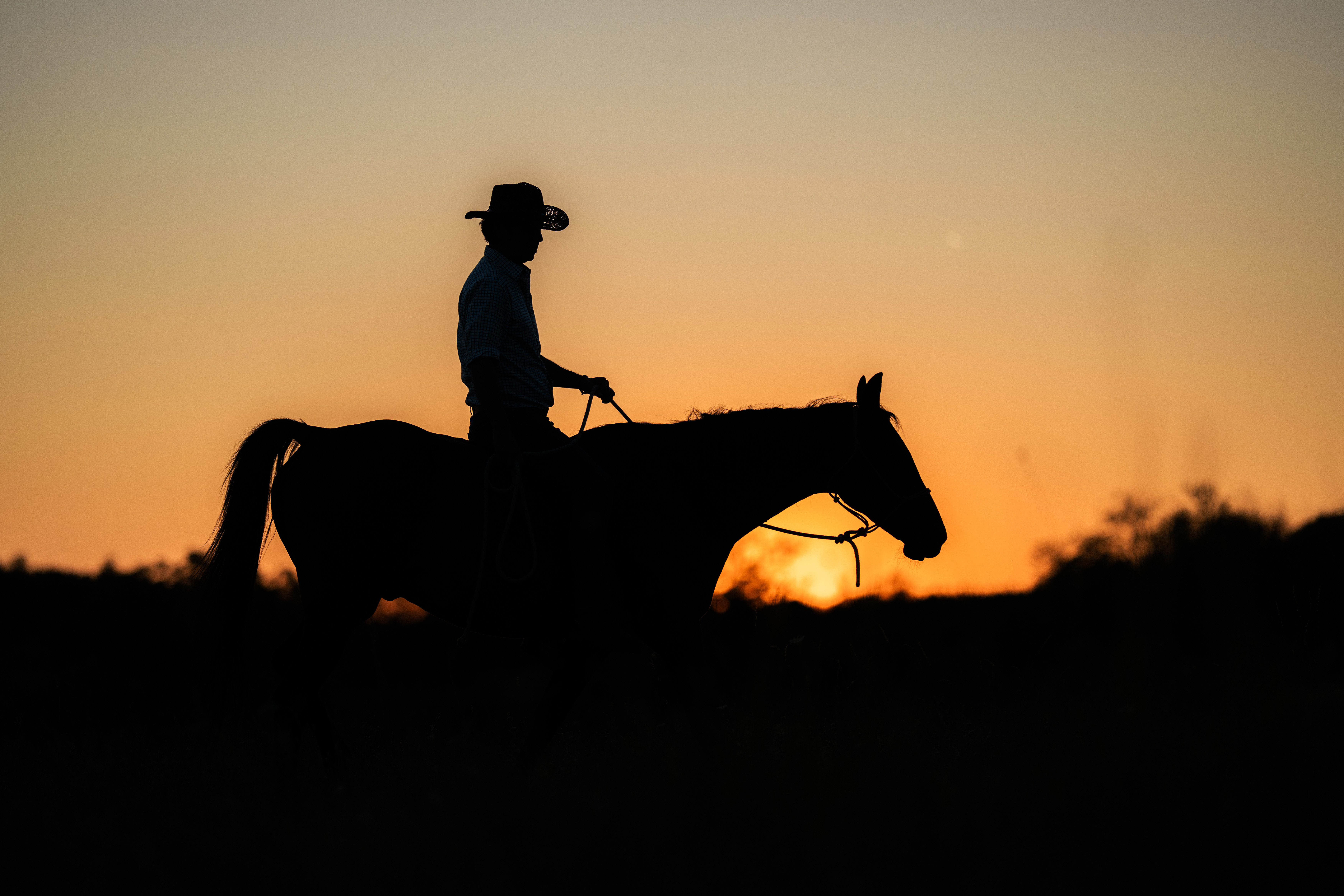 A person wearing a wide-brimmed hat sits on a horse in side profile, facing right and holding the reins. The horse and rider are dark silhouettes across the lower half of the wide image. A clear orange sky fills most of the frame, with a low dark horizon and sparse vegetation beneath. No text is visible.