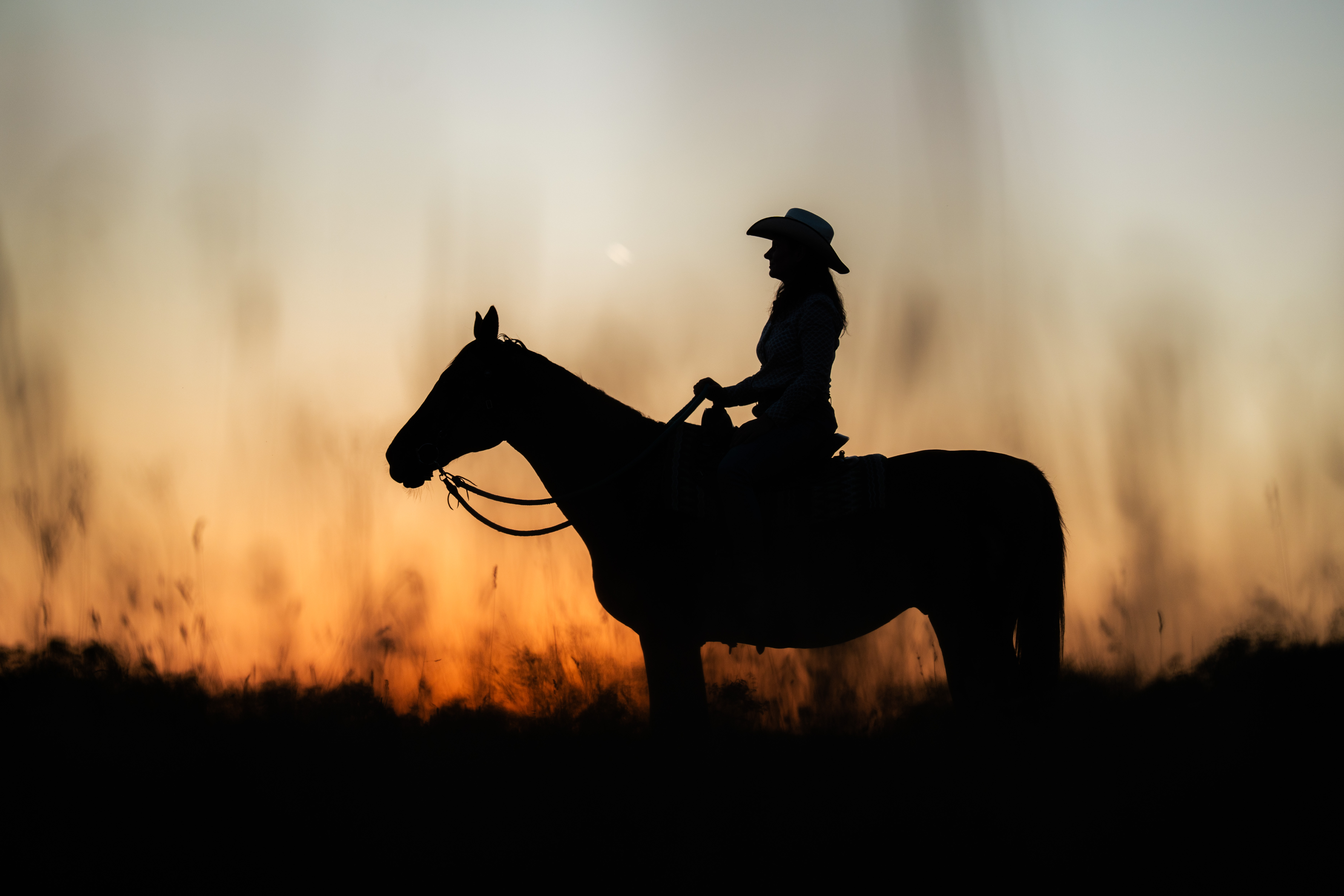 A horse in profile faces left with a person in a brimmed hat seated on its back and holding the reins. Both are nearly black silhouettes against a pale golden-orange sky. Dry grasses and a dark horizon line appear along the lower edge, while the figures fill the lower-right half of the wide frame. No text is visible.