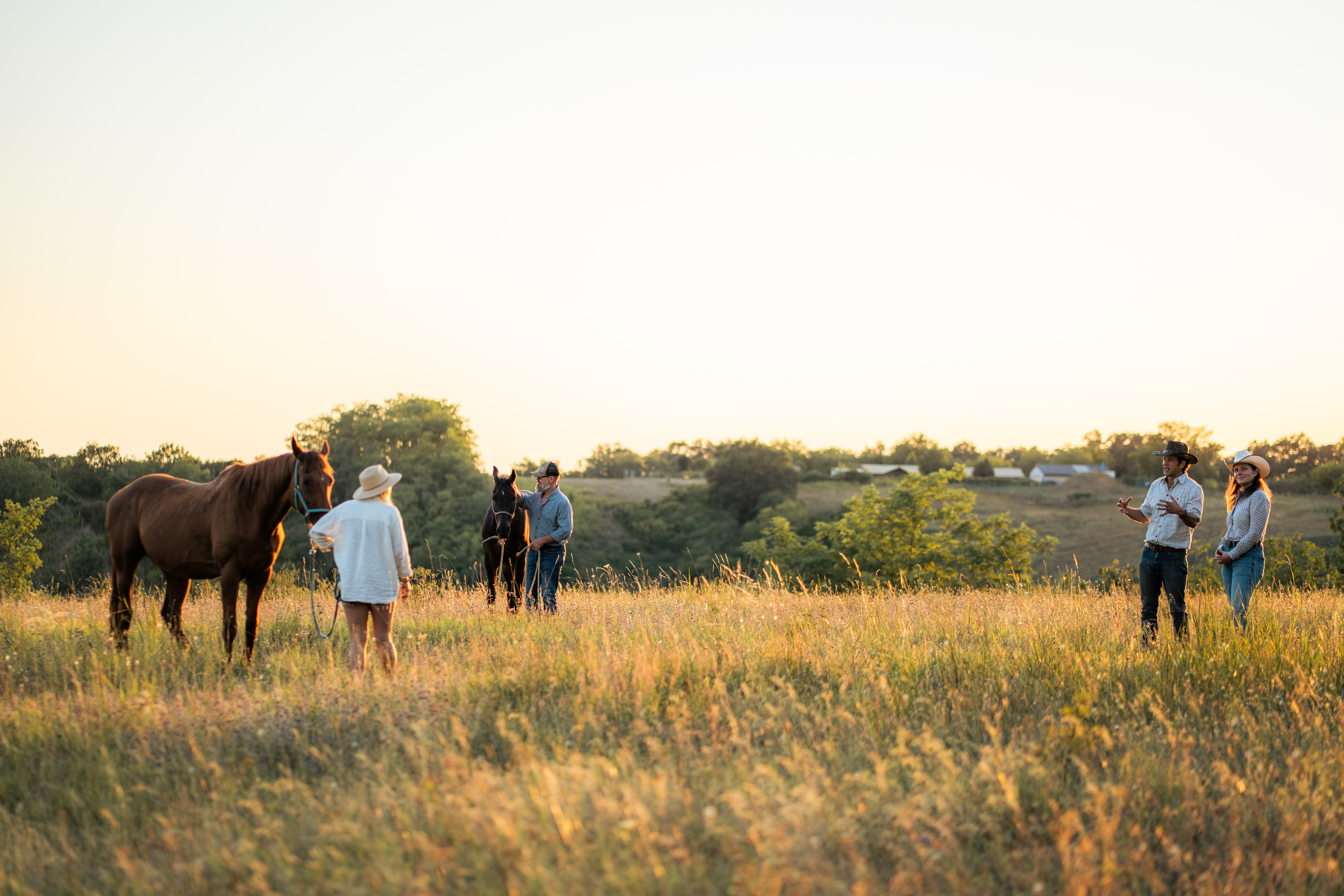 Two horses stand in tall grass with several adults spaced around them. A chestnut horse fills the left foreground, while a dark horse and a person holding its lead are near the center; two figures stand at far right. The scene is framed as a wide panorama, with a large pale sky above a tree-lined horizon. Low sunlight gives the grass and figures warm gold tones; no legible text is visible.