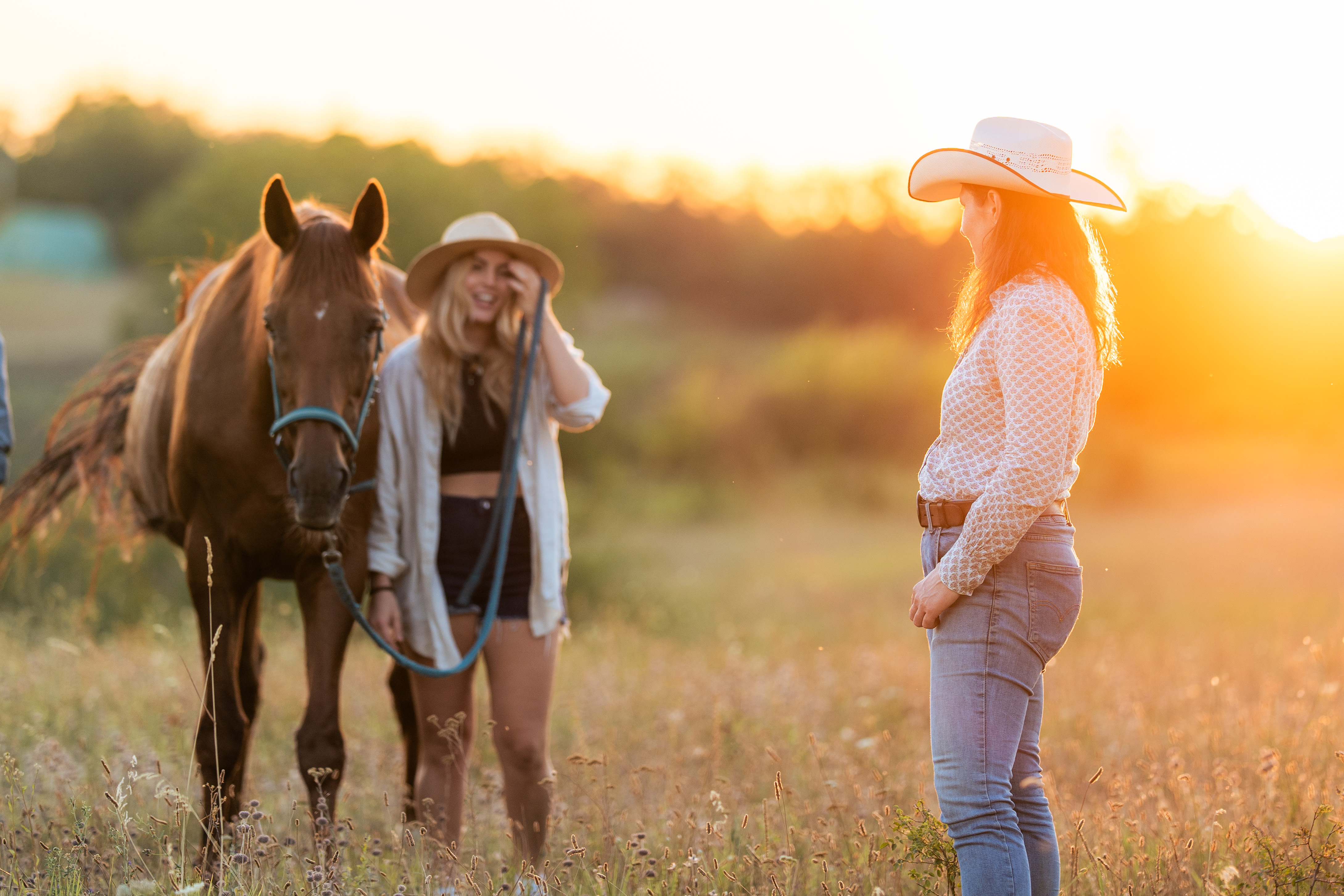 A dark horse stands in the foreground of a grassy field, with two adults in broad-brimmed hats beside it. One adult at right wears a pale patterned shirt and jeans, while another in a tan hat stands partly behind the horse holding a blue lead rope. Bright low sunlight behind them creates an orange glow around their outlines and leaves the distant tree line soft. The horse, people, and wild grasses fill the lower frame; no legible text appears.