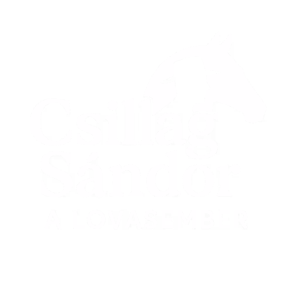 Lovasember