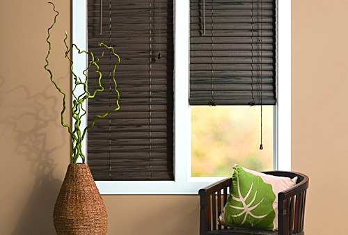Room with dark window blinds, a tall plant, and a green cushion.