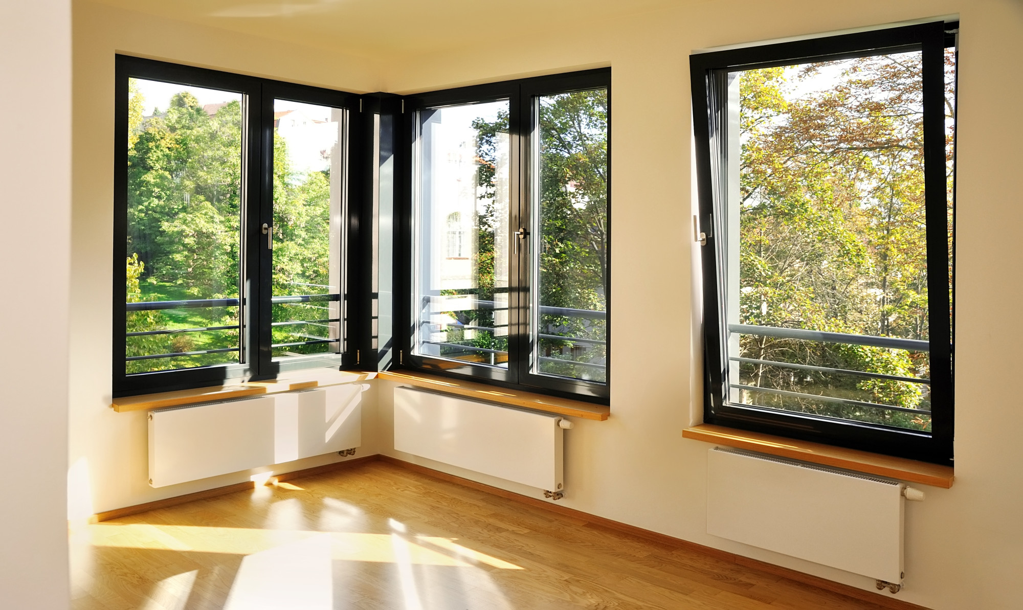 Sunlit empty room with black-framed corner windows and green trees outside.