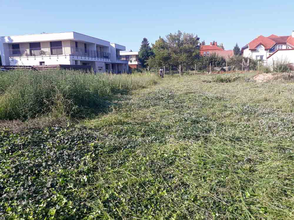 A broad open lot occupies the foreground, with cut grass spread across the ground and taller vegetation along the left side. A modern flat-roofed white building stands on the left, while red-roofed homes and trees appear on the right. A wire fence runs across the middle distance beneath a clear blue sky.