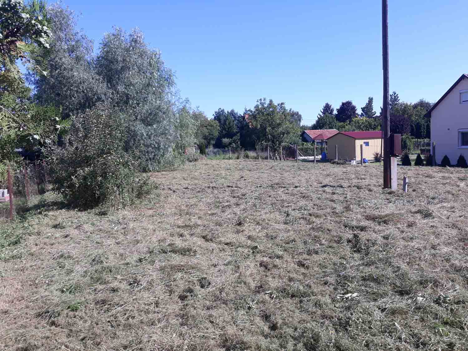 Short dry cut grass and clippings cover the foreground of a broad lot. A large tree stands on the left, and a small light-colored outbuilding with a reddish roof sits near the center-right. A white house, a tall utility pole, fencing, and a blue sky are visible in the background.