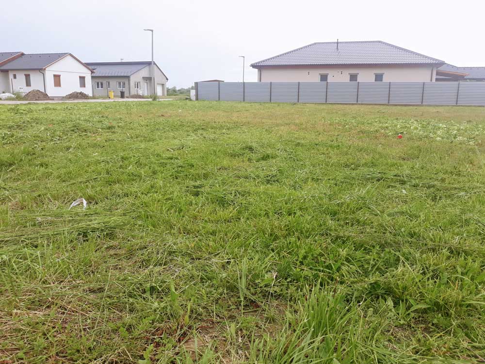 A broad residential lot is covered with flattened green grass and scattered clippings. Detached houses and a long gray slatted fence span the background. Streetlights and a small red flower are visible.