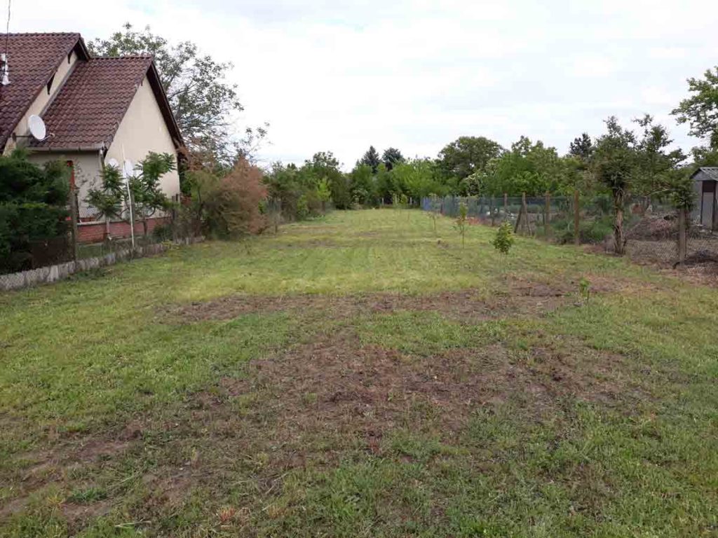 An open yard contains short mowed grass with irregular bare-soil patches. A red-roofed house borders the left side, while wire fencing, trees, and a small shed-like structure line the right. A few young trees or shrubs are spaced across the lawn.