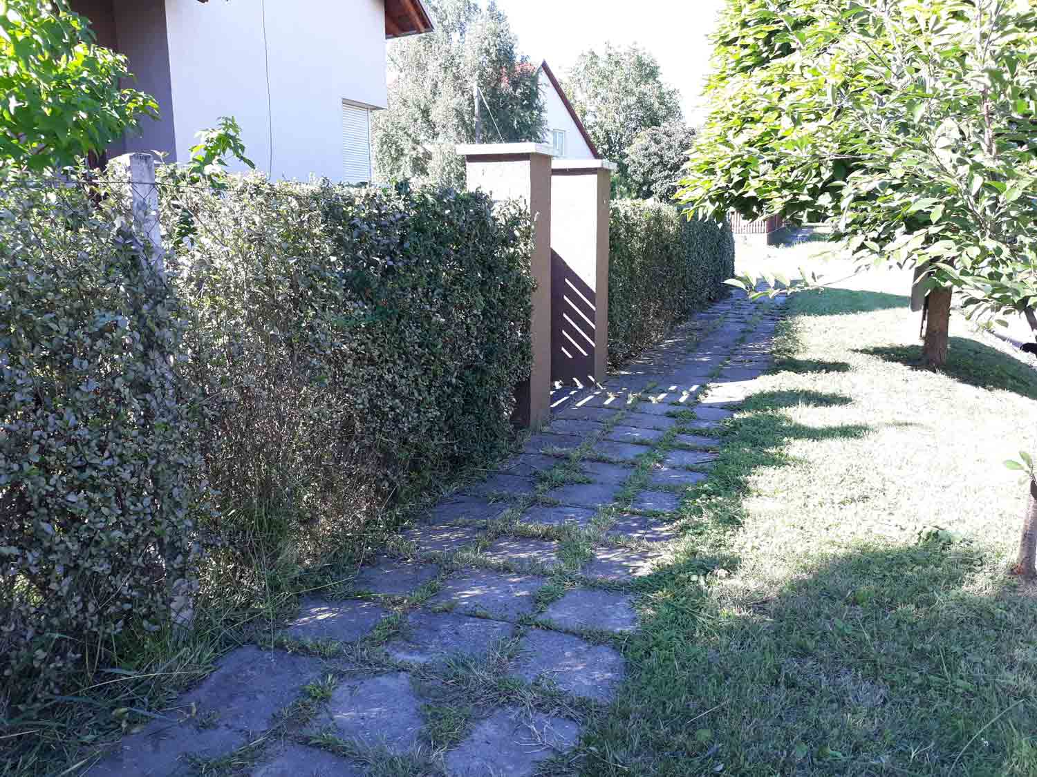 A trimmed hedge borders a stone-slab walkway through a residential garden. A brown gate panel and posts stand along the path, with a house behind the hedge. A small tree and bright grass occupy the right side.