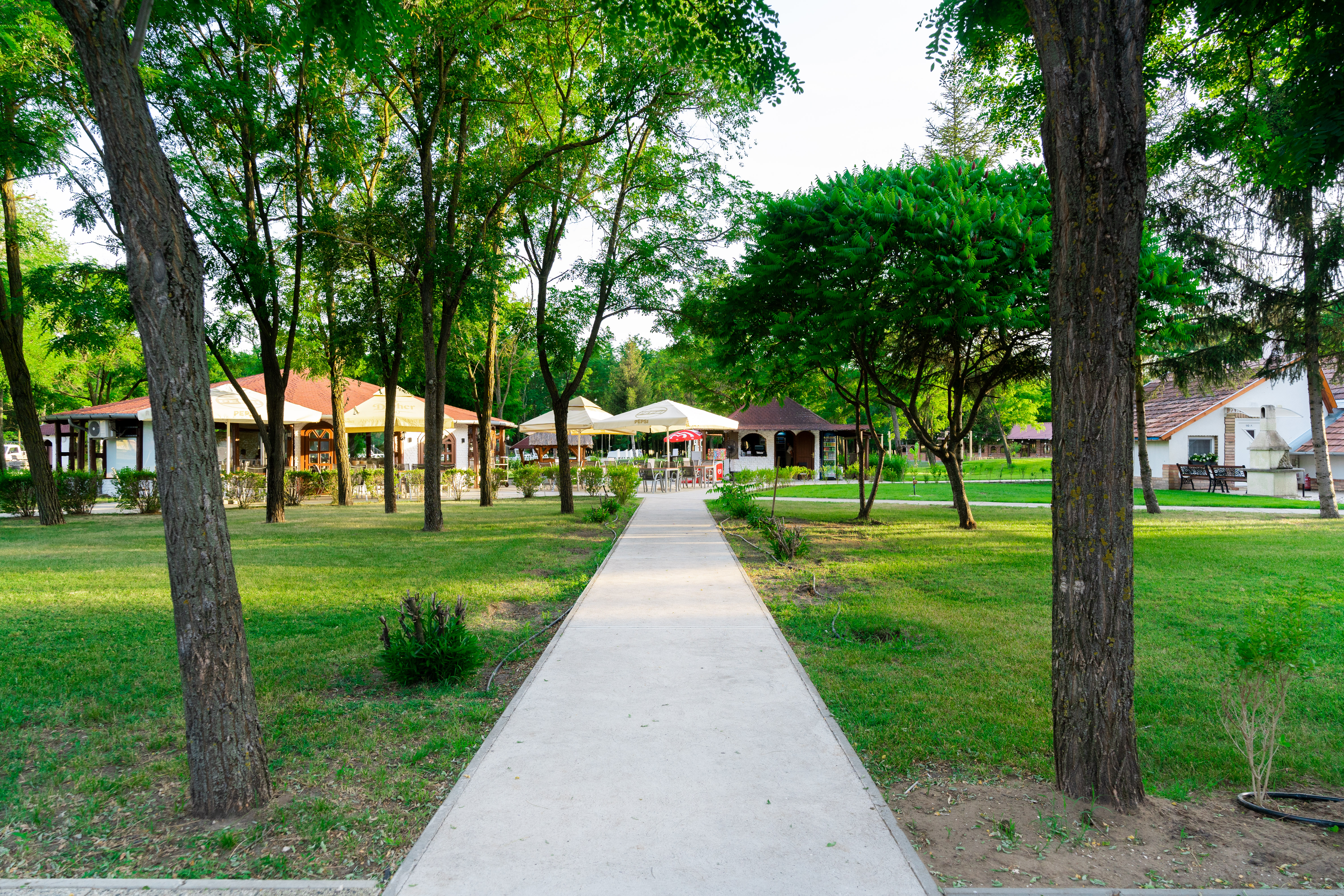 Hosszú egyenes sétány vezet a park közepén.