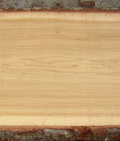 Pale wood board with rough dark edge; detail src-0265