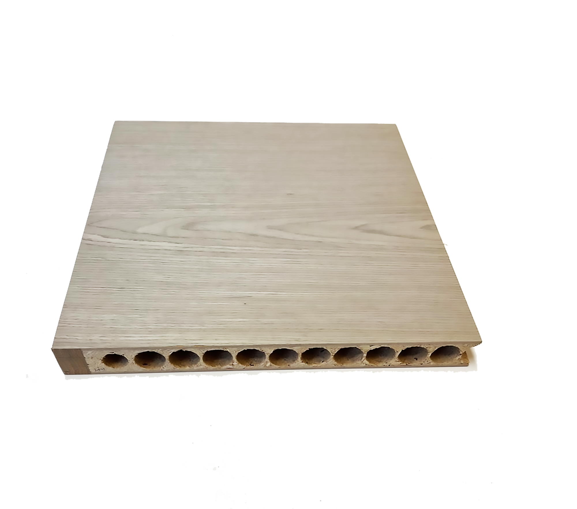 Horizontal cutaway sample showing pale veneer over a perforated core.